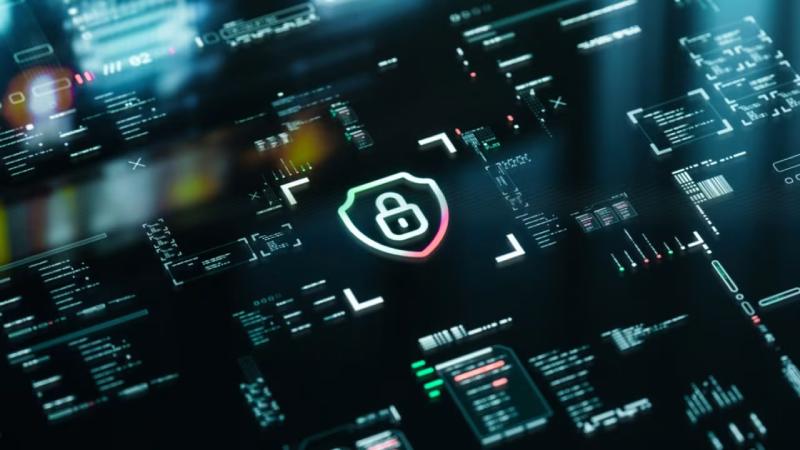 米东区软件开发公司